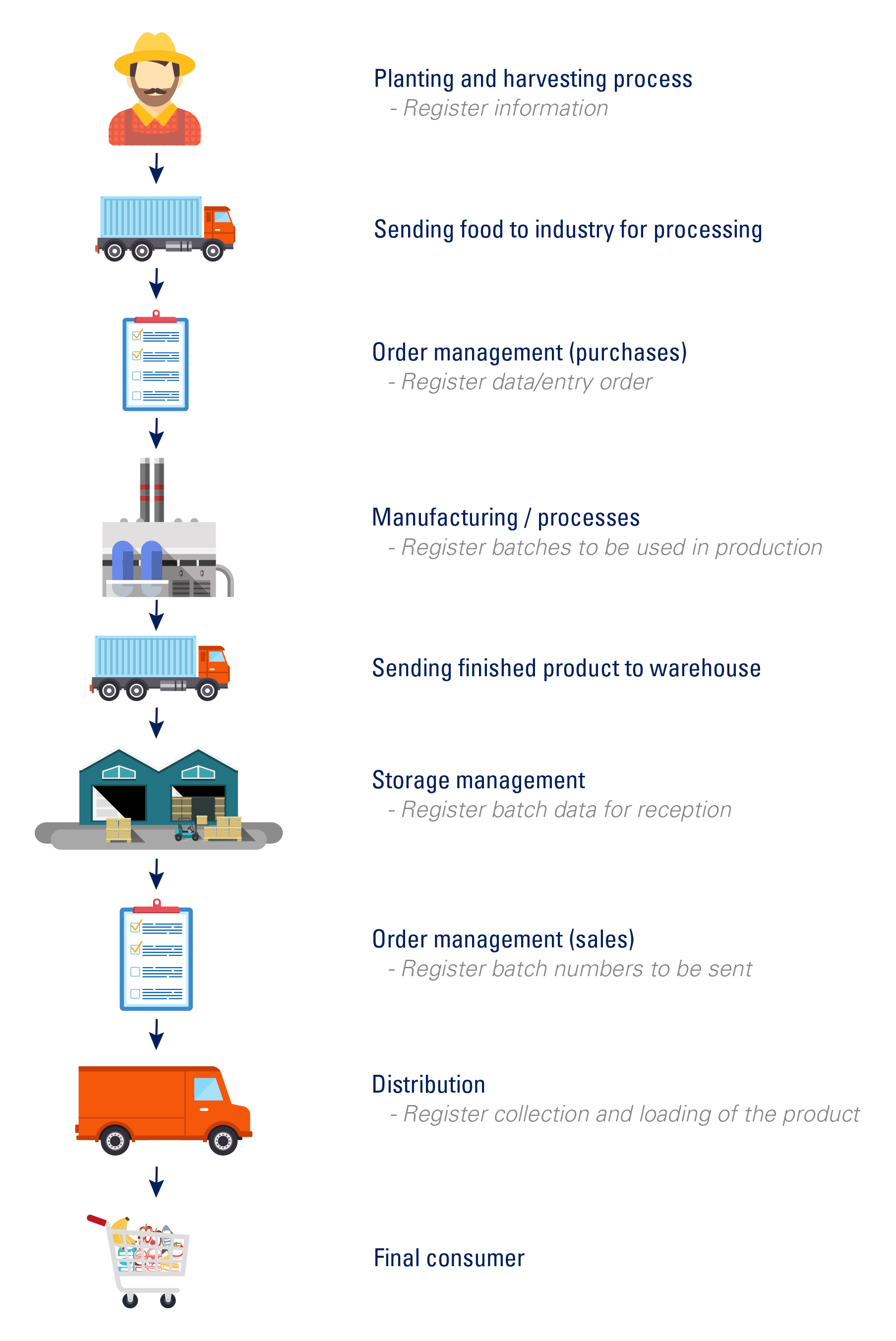 Successful Supply Chain What Part Of The Supply Chain Process Does 